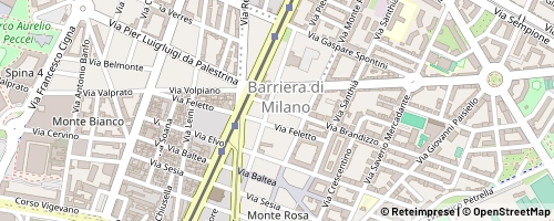 Mappa Torino