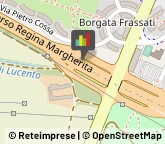 Stazioni di Servizio e Distribuzione Carburanti,10151Torino