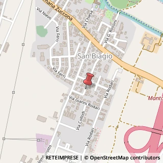 Mappa Via Gabriele d'Annunzio, 21, 46031 Bagnolo San Vito, Mantova (Lombardia)