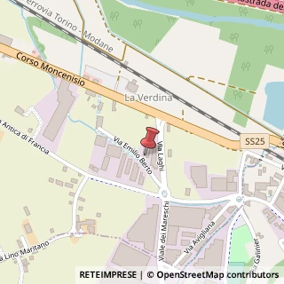 Mappa Via Don Emilio Berto, 6, 10057 Sant'Ambrogio di Torino, Torino (Piemonte)