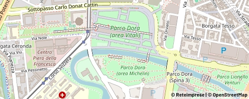 Mappa Turin