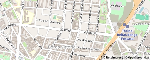 Mappa Turin