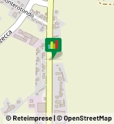 Viale Porta Adige, 137,45100Rovigo