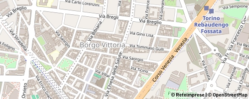 Mappa Torino