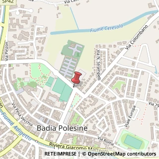 Mappa Piazza foro boario 266, 45021 Badia Polesine, Rovigo (Veneto)