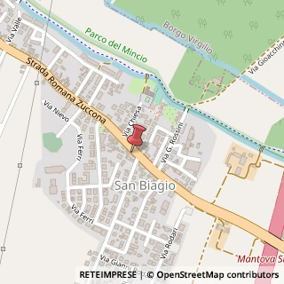Mappa Via Romana Zuccona, 33, 46031 Bagnolo San Vito, Mantova (Lombardia)
