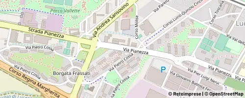 Mappa Torino