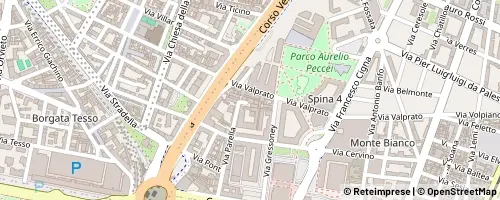 Mappa Turin