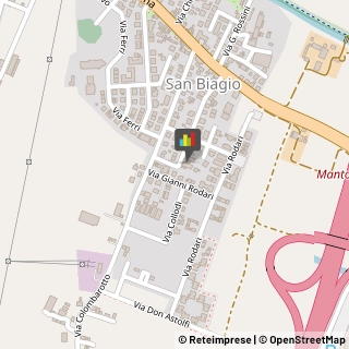 Palestre e Centri Fitness Bagnolo San Vito,46031Mantova
