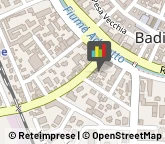 Elettrauto Badia Polesine,45021Rovigo