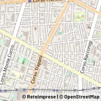 Map Torino