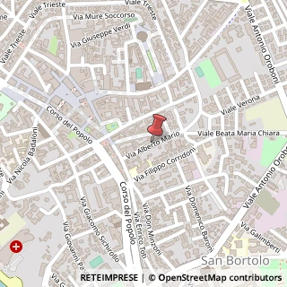 Mappa Via Alberto Mario, 25, 45100 Rovigo, Rovigo (Veneto)