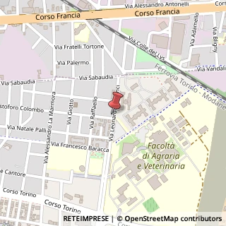Mappa Via L. Da Vinci, 165, 10095 Grugliasco, Torino (Piemonte)