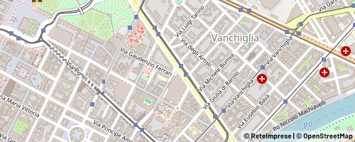 Mappa Turin