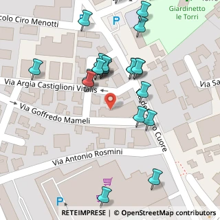 Mappa Via Argia Castiglioni Vitalis, 45100 Rovigo RO, Italia (0.04167)