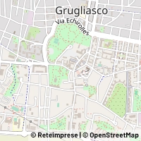 지도 Grugliasco