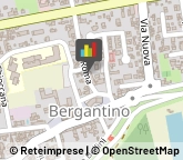 Consulenza di Direzione ed Organizzazione Aziendale Bergantino,45032Rovigo