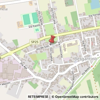 Mappa Via Cordelia,  174, 45032 Bergantino, Rovigo (Veneto)