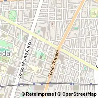 Carte Torino