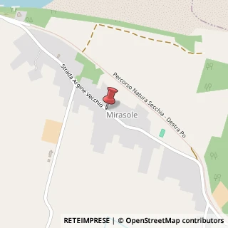 Mappa Strada Argine Vecchio, 46027 Mirasole MN, Italia, 46027 San Benedetto Po, Mantova (Lombardia)