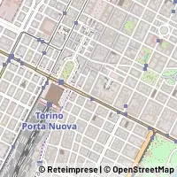 Peta Torino