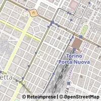 Peta Torino