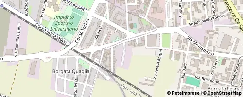 Mappa Torino