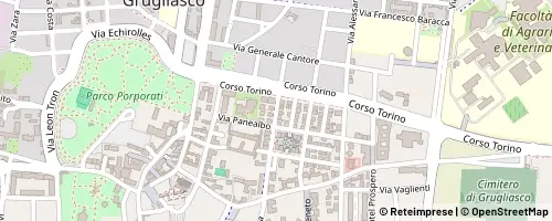 Mappa Grugliasco