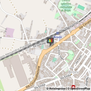 Palestre e Centri Fitness,27043Pavia