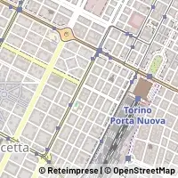 Peta Torino