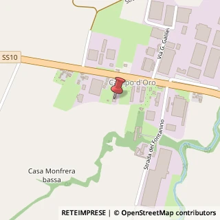 Mappa Via Emilia Pavese, 65B, 29015 Castel San Giovanni, Piacenza (Emilia Romagna)