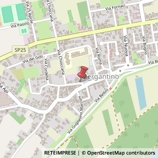 Mappa Via F. Cavallotti, 1, 45032 Bergantino, Rovigo (Veneto)