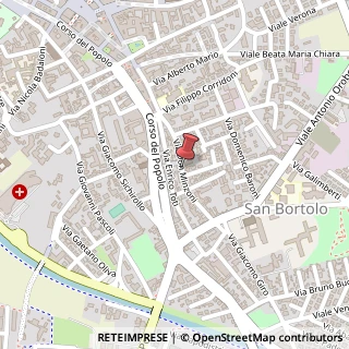 Mappa Via minzoni don giovanni 51, 45100 Rovigo, Rovigo (Veneto)