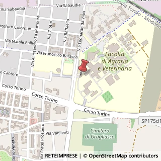 Mappa Largo Paolo Braccini, 2, 10095 Grugliasco, Torino (Piemonte)