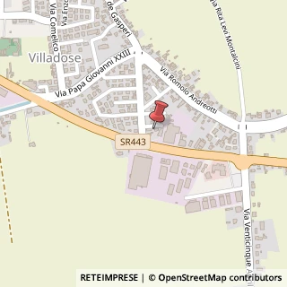 Mappa Via Piave, 1, 45010 Villadose, Rovigo (Veneto)