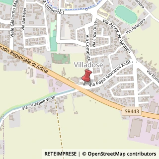 Mappa Via don giovanni minzoni 2, 45010 Villadose, Rovigo (Veneto)