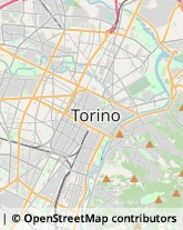 Agenzie di Animazione e Spettacolo Torino,10128Torino