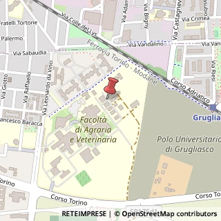 Mappa Largo Paolo Braccini, 2, 10095 Grugliasco, Torino (Piemonte)