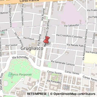 Mappa Viale gramsci antonio 110, 10095 Grugliasco, Torino (Piemonte)