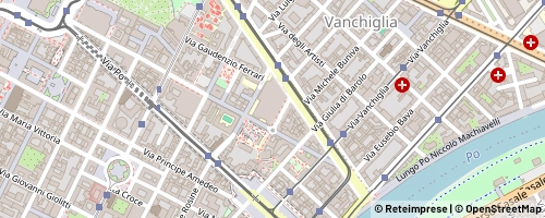 Mappa Turin