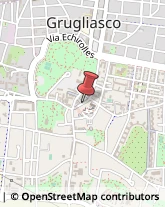 Via Giovanni Lupo, 19,10095Grugliasco