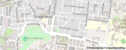 Mappa Grugliasco
