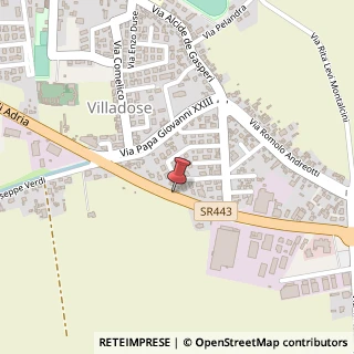 Mappa Via Zona Industriale, 45010 Villadose RO, Italia, 45010 Villadose, Rovigo (Veneto)