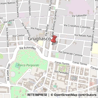 Mappa Viale A Gramsci, 62, 10095 Grugliasco, Torino (Piemonte)