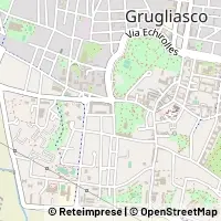 Map Grugliasco