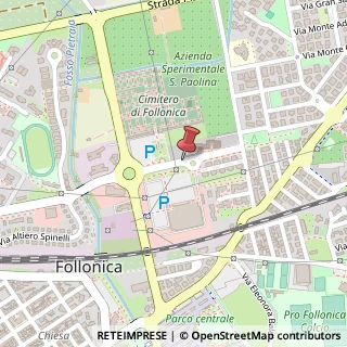 Mappa Via Mario Chirici, , 58022 Follonica, Grosseto (Toscana)
