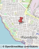 Via Francesco Petrarca, 81,57025Piombino