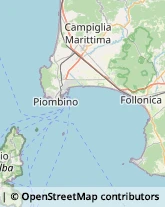 Psicologi Campiglia Marittima,57021Livorno