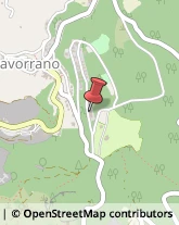 Via Belvedere, 27,58023Gavorrano