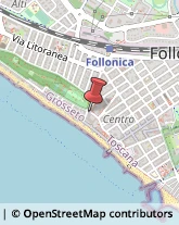 Via Fratti, 48,58022Follonica